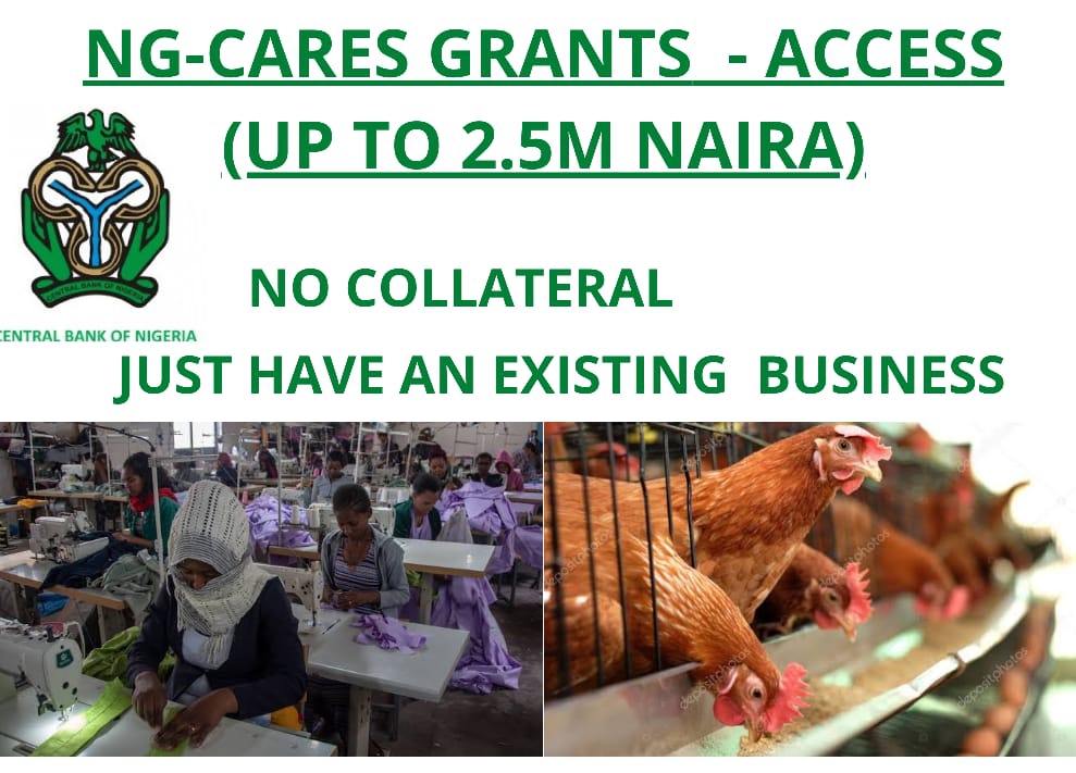 How To Apply For NGCARES Grant Online Form 2022 (Up to 2.5M)